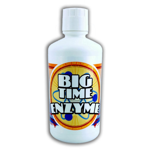 Bigtime Enzyme Quart