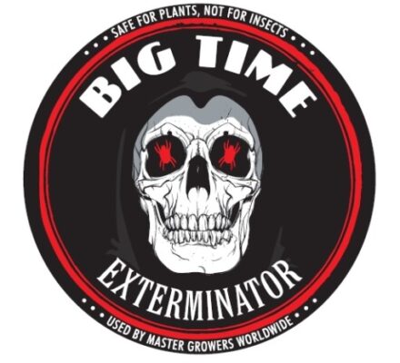 Big Time Exterminator