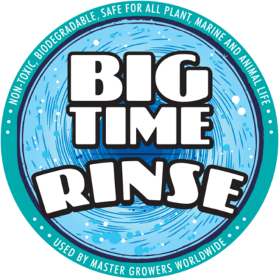 Big Time Rinse