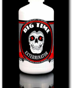 Big Time Bundles
